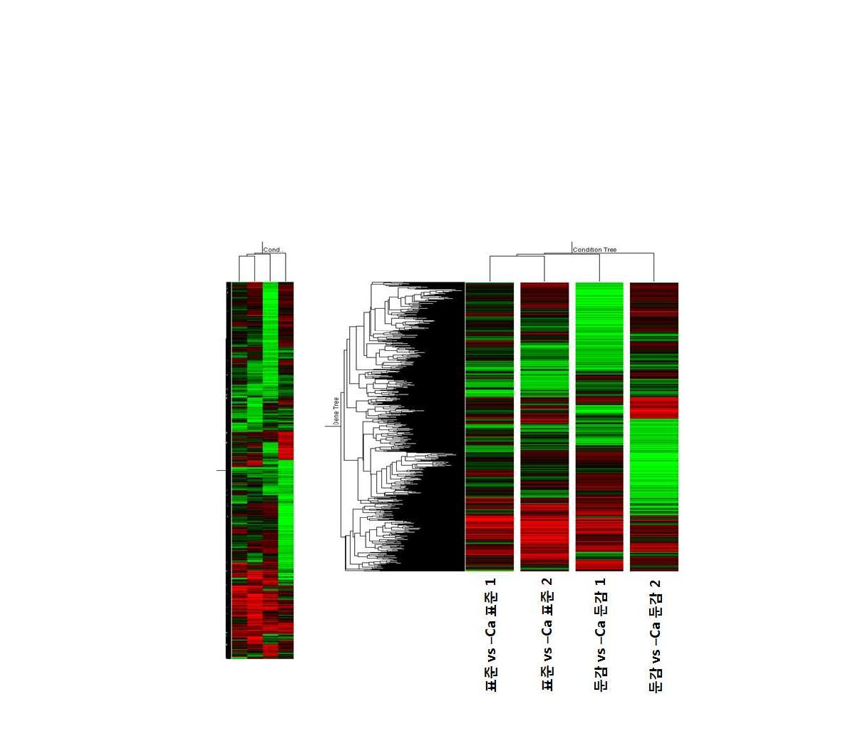 칼슘관련 유전자군의 칼슘부족현상에 대한 발현패턴 분석 (Real-Time PCR)