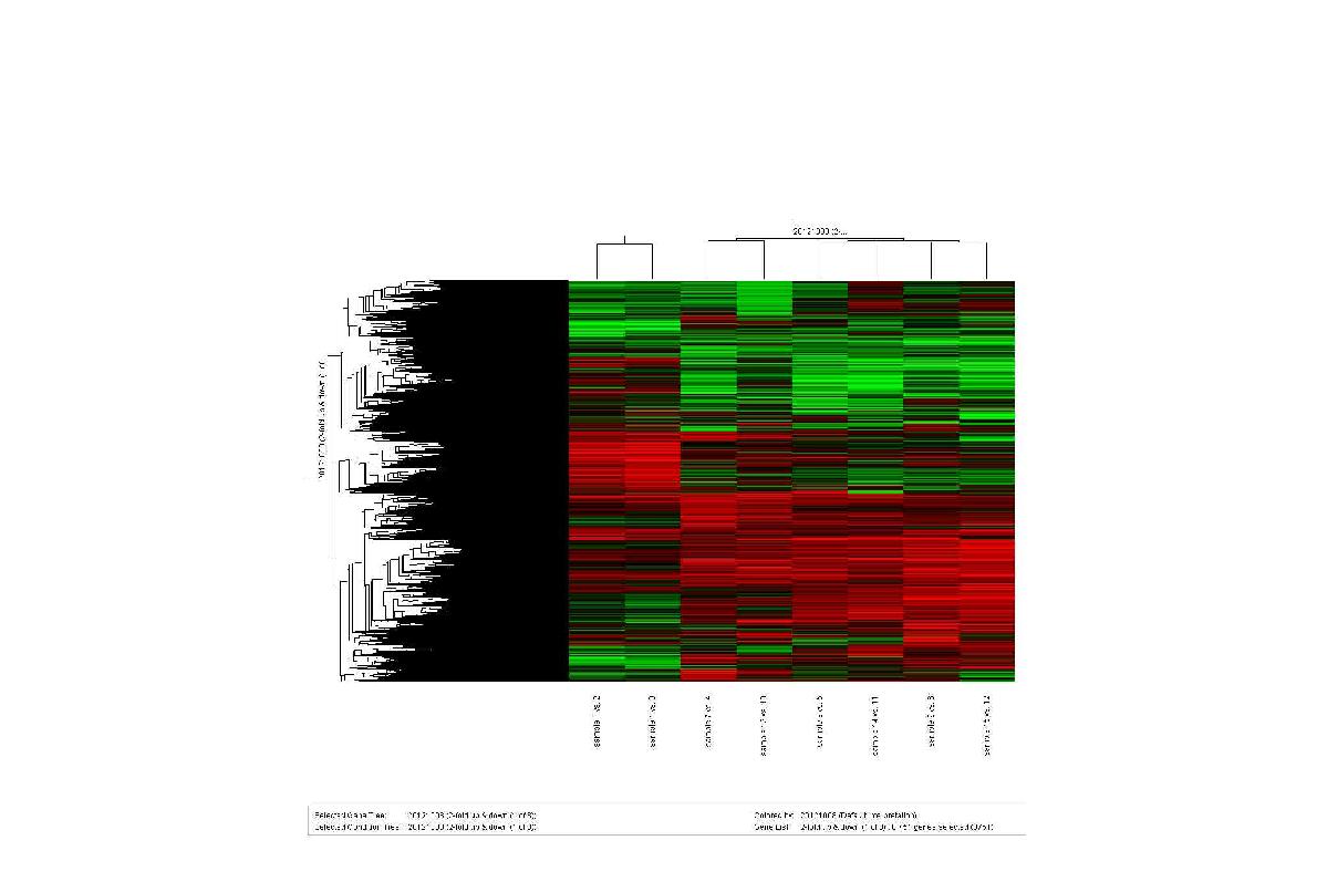 처리에 따른 유전자 발현 변화(발현 증가 및 감소)를 Hierarchical clustering으로 나타낸 그림