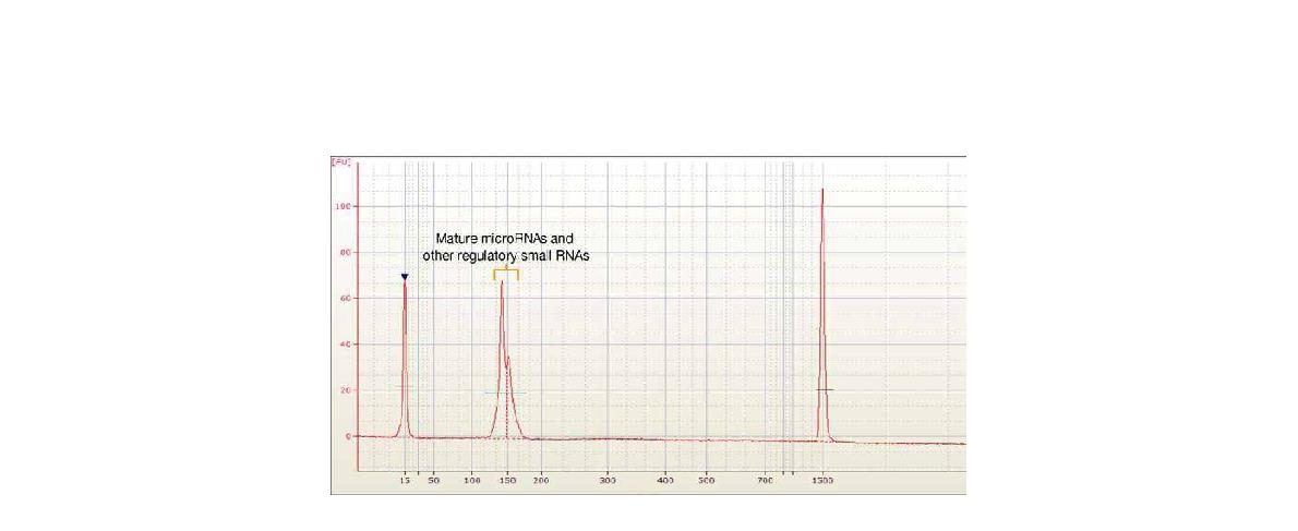 Agilent 2100 high sensitivity DNA chip으로 micro RNA Final Library Total RNA sample 확인