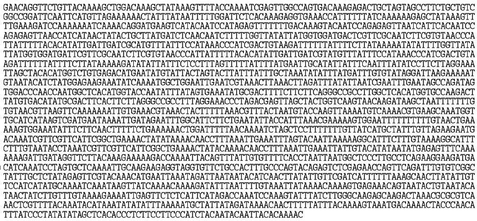 BrCLP1 유전자의 promoter 영역의 염기확인(-2,173 bp)