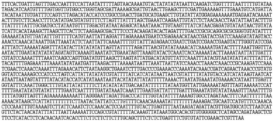 BrCMPG1 유전자의 promoter 영역의 염기확인(-2,102 bp)