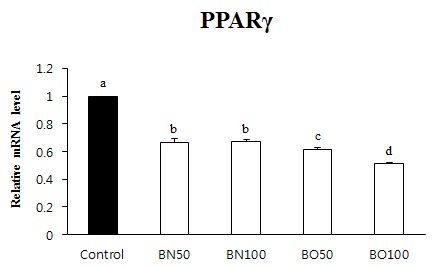 맥강 오르니틴 소재 PPARγ 평가.