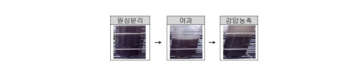 MMD-11균주에 의한 맥강 발효물의 액상 소재화 공정별 사진.