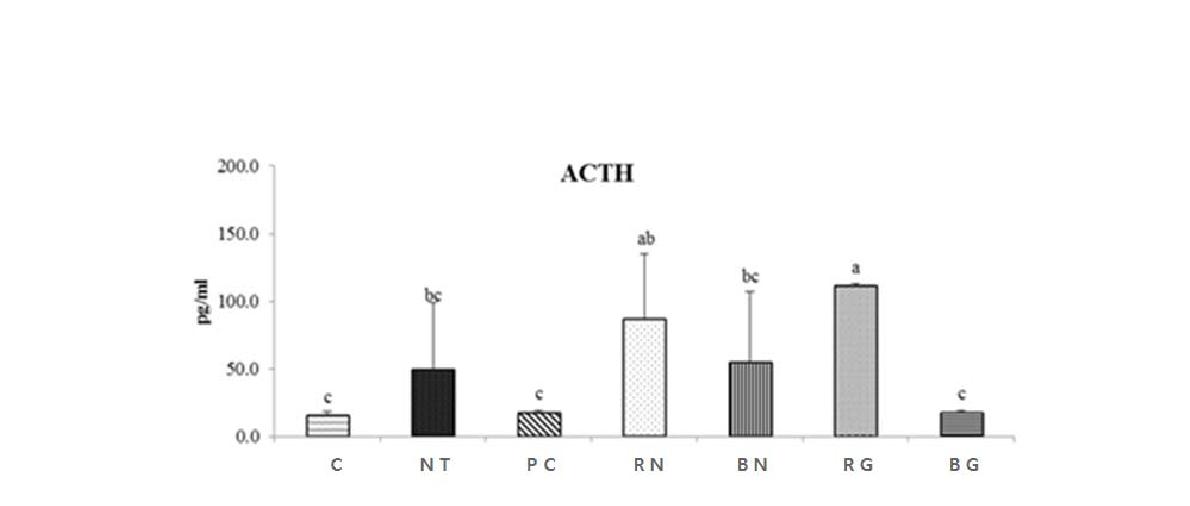혈중 adrenocorticotropic hormone(ACTH) 농도 비교.