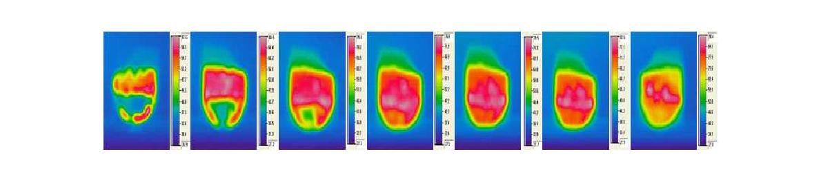 전자레인지 가열 중 열화상 카메라로 측정된 화닭 덮밥 소스의 온도 변화.