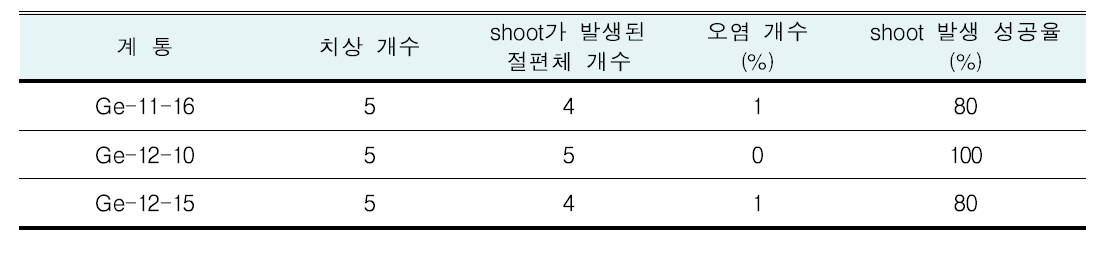 생장점 절편체로부터 shoot 발생 성과