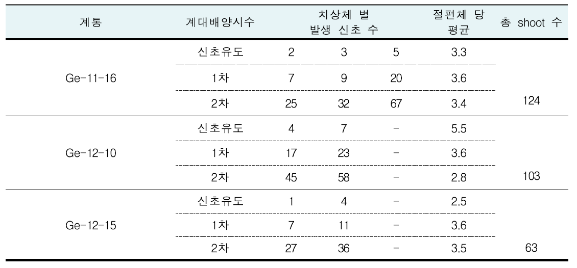 계대 배양을 통한 기간 내 성과