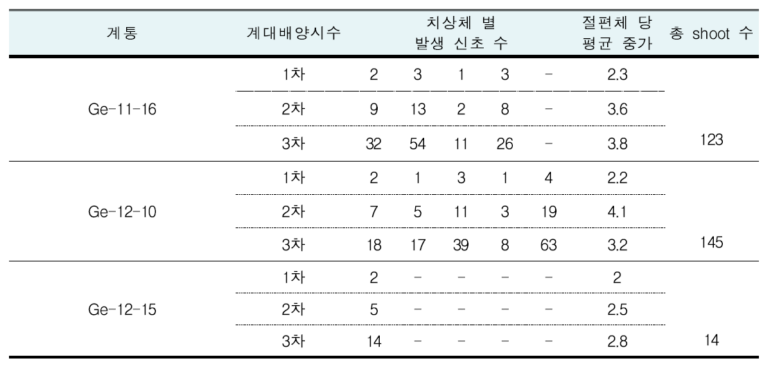 계대 배양을 통한 기간 내 성과