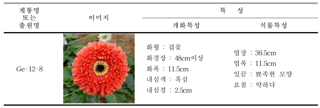 실험 대상 계통 및 품종