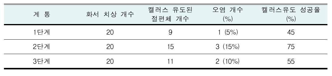 캘러스 유도 성공율