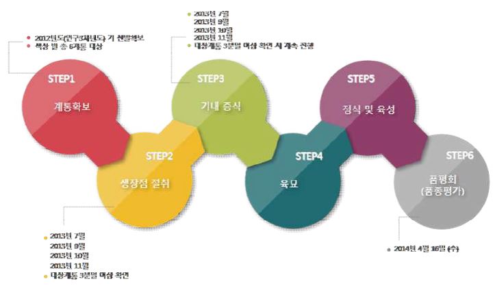 육성 품종 증식 및 평가에 대한 단계별 수행 내용