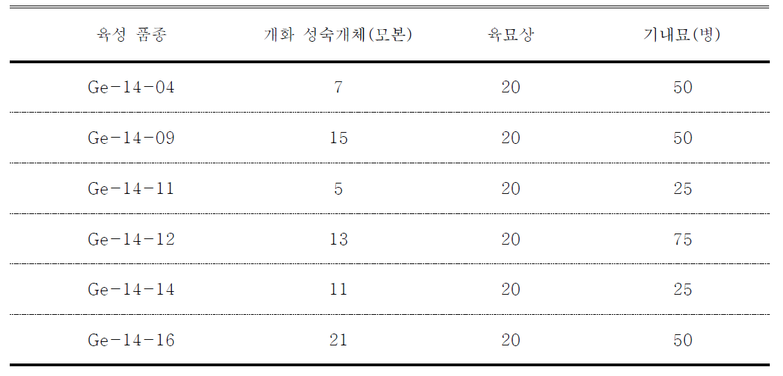 육성 품종 수량 확보 결과