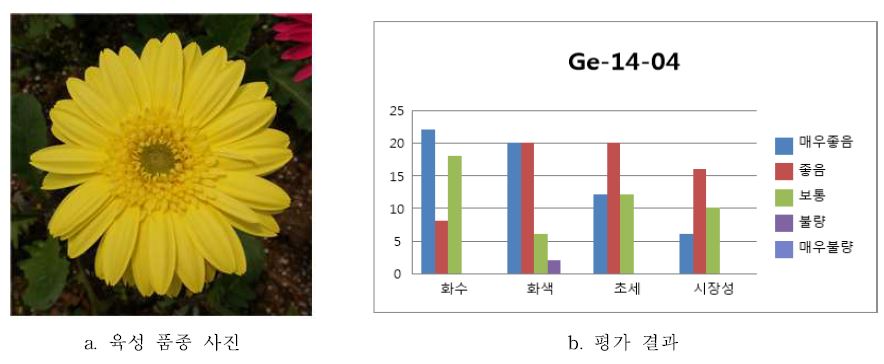 ‘Ge-14-04’ 품종 평가 결과