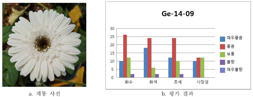 ‘Ge-14-09’ 품평결과