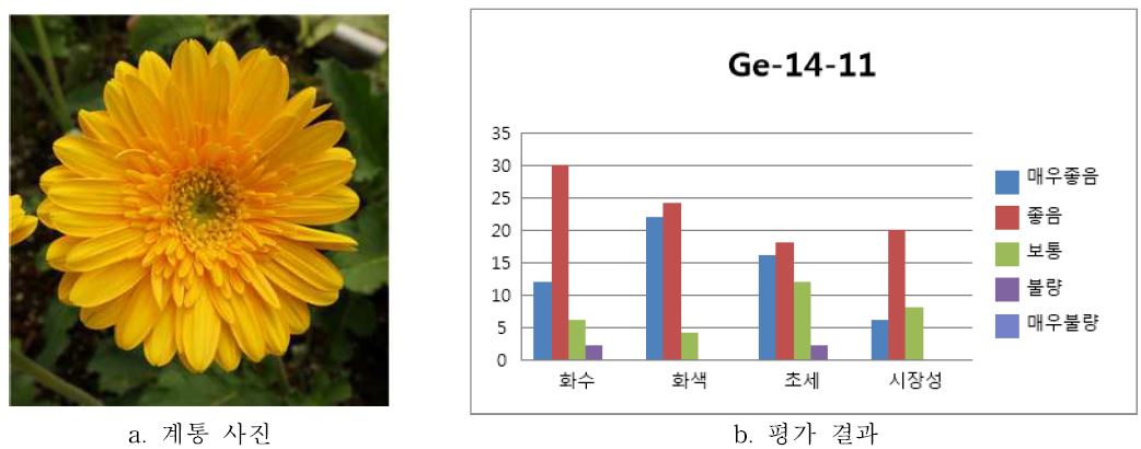 ‘Ge-14-11’ 품평결과