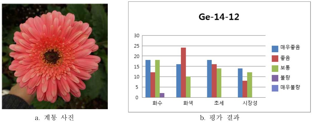 ‘Ge-14-12’ 품평결과