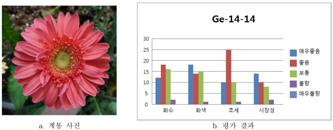 ‘Ge-14-14’ 품평결과