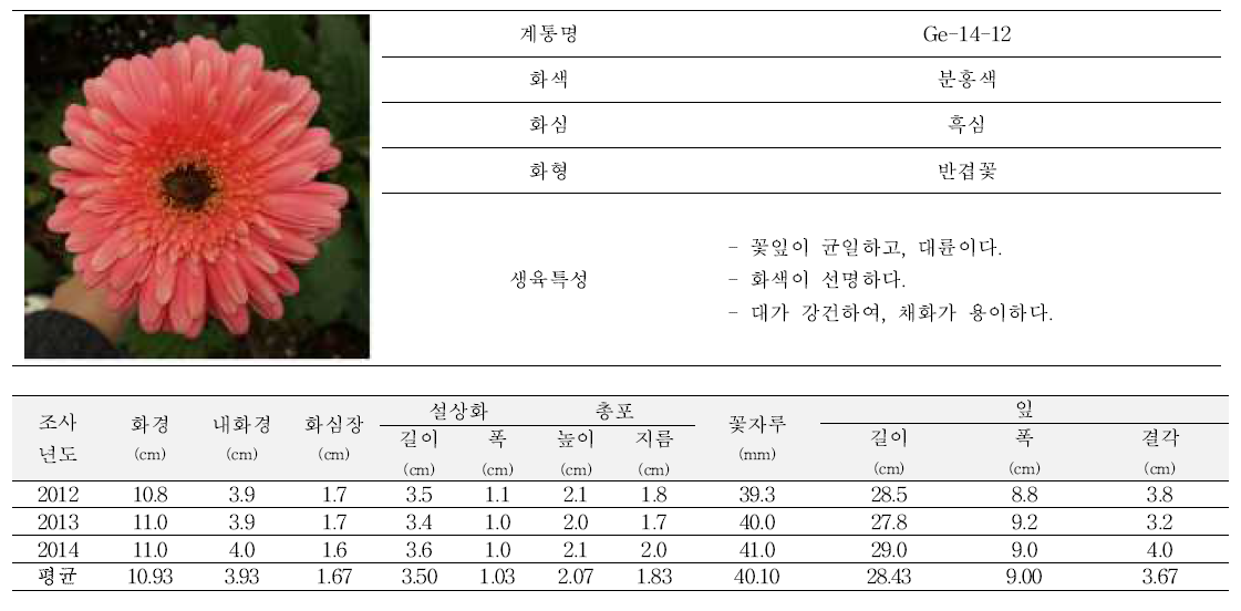 2014년도 육성품종 ‘소피아’