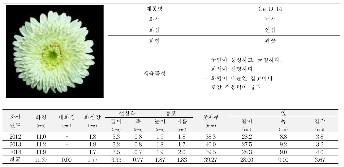 2013년도 육성품종 ‘위티’