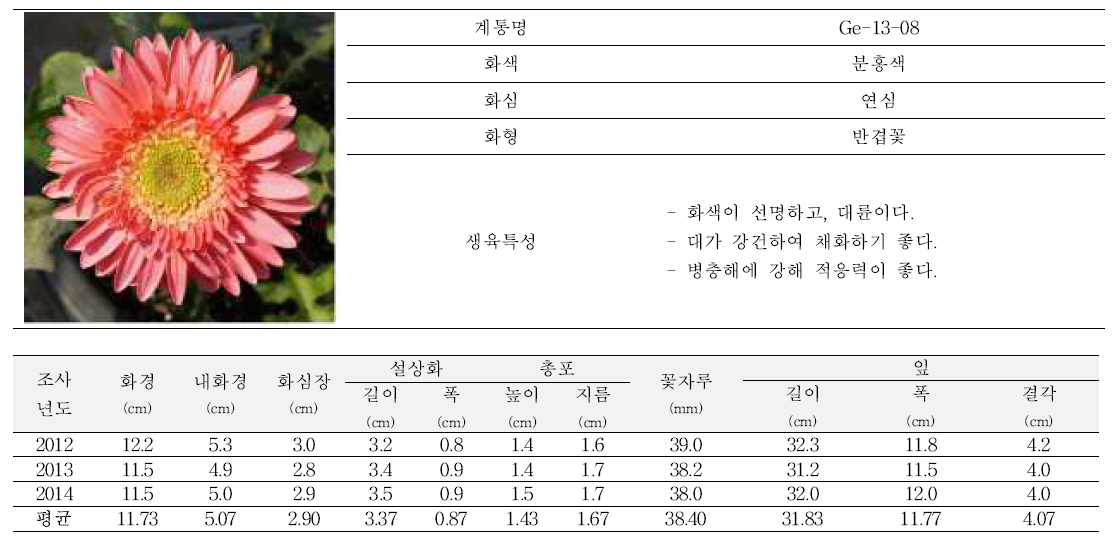 2015년도 육성품종 ‘파니니’