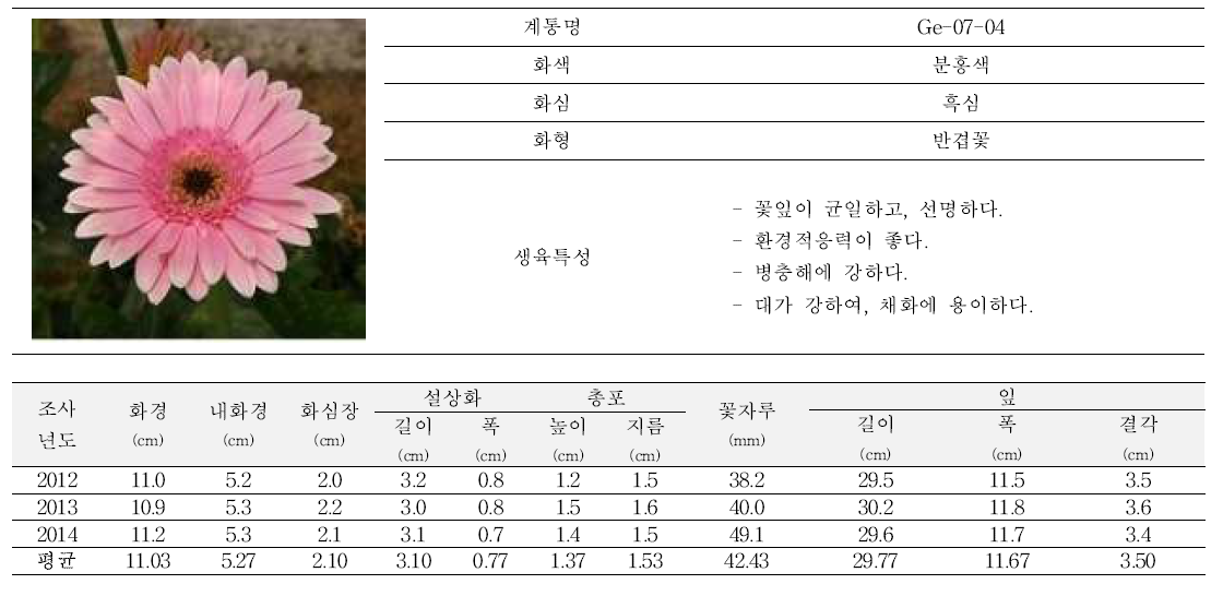 기존 육성품종 ‘매직핑크’