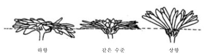 외부 설상 위치: 하향(하), 같은 수준(동), 상향(상)