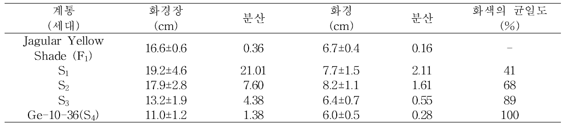 Ge-10-26(S4)계통의 세대진전에 따른 화색, 화경 및 화경장의 변화