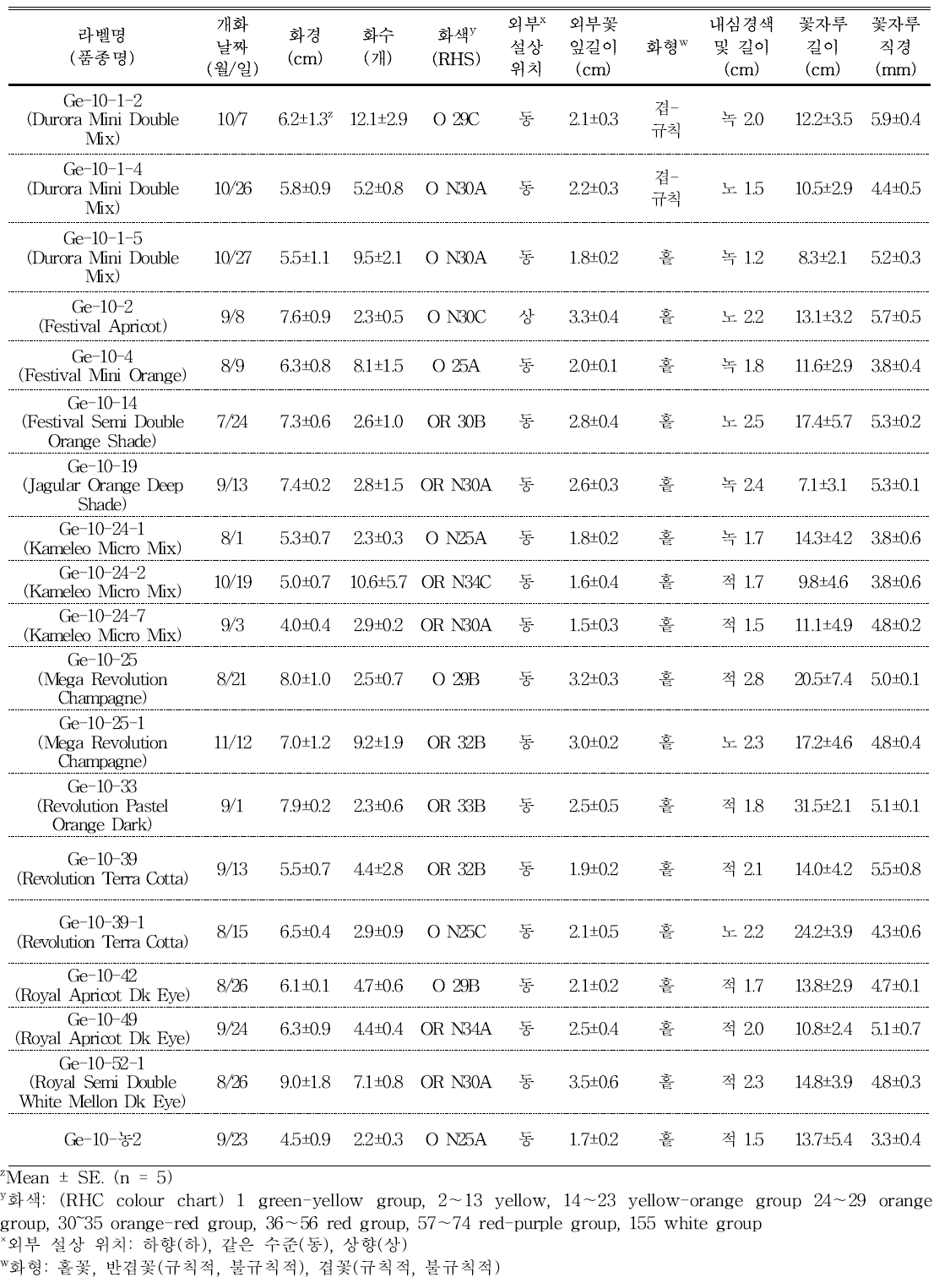 분화용 거베라 주황색 계통(품종)의 개화 및 꽃의 특성