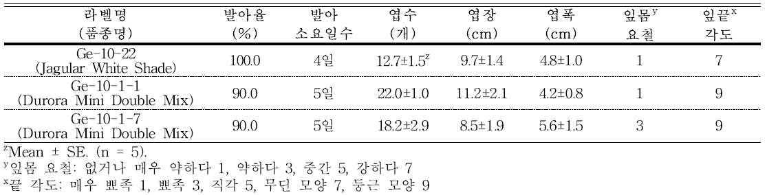 분화용 거베라 흰색 및 복색 계통(품종)의 발아율 및 생육 특성