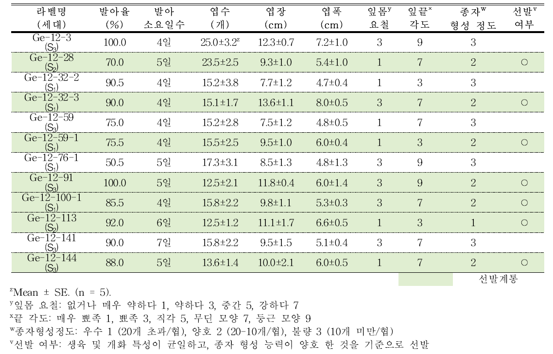 분화용 거베라 주황색 계통의 발아율, 종자형성 정도 및 생육 특성