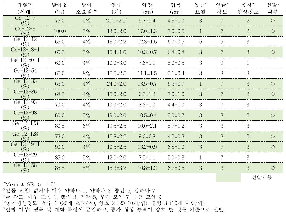 분화용 거베라 흰색과 복색 계통의 생육 특성