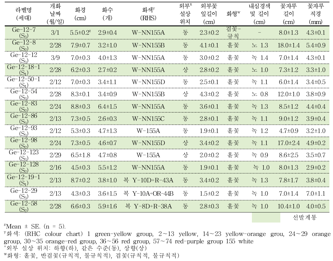 분화용 거베라 흰색과 복색 계통의 개화 특성 및 우수계통 선발