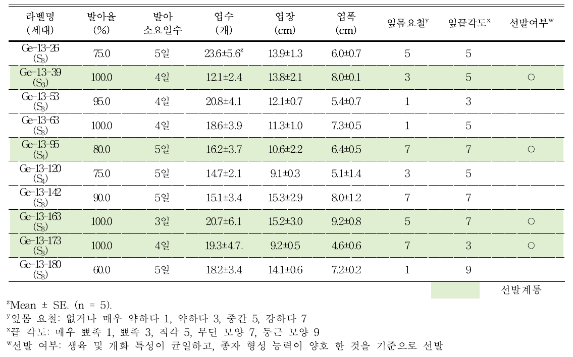 분화용 거베라 주황색 계통의 발아율 및 생육 특성