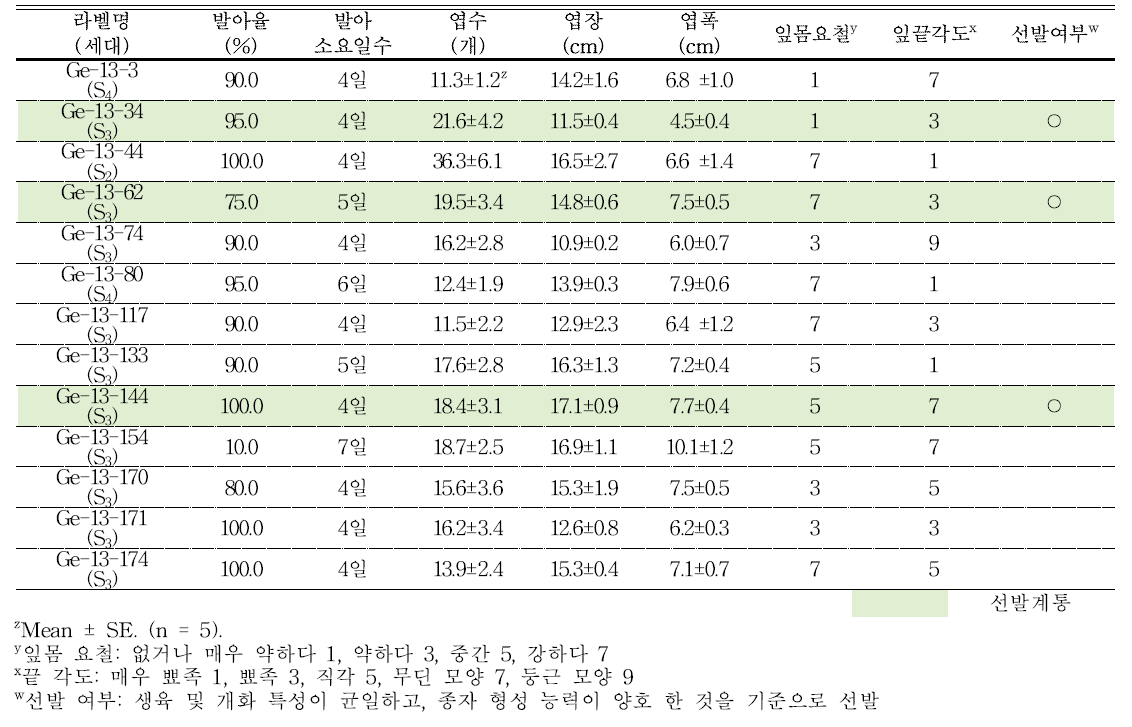 분화용 거베라 자주색 계통의 발아율 및 생육 특성