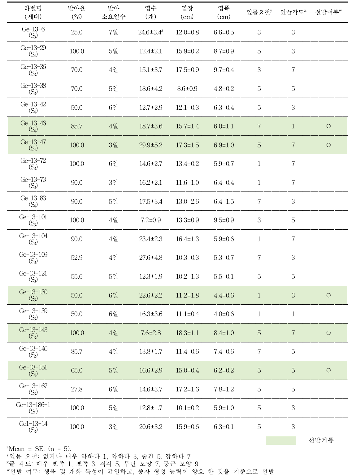 분화용 거베라 흰색 계통의 발아율 및 생육 특성