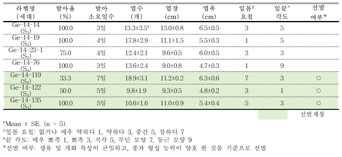 분화용 거베라 복색 계통의 발아율 및 생육 특성