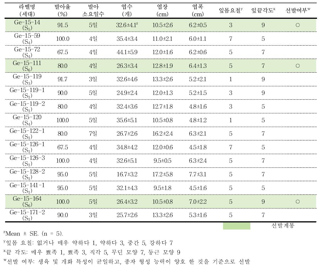 분화용 거베라 주황색 계통의 발아율 및 생육 특성