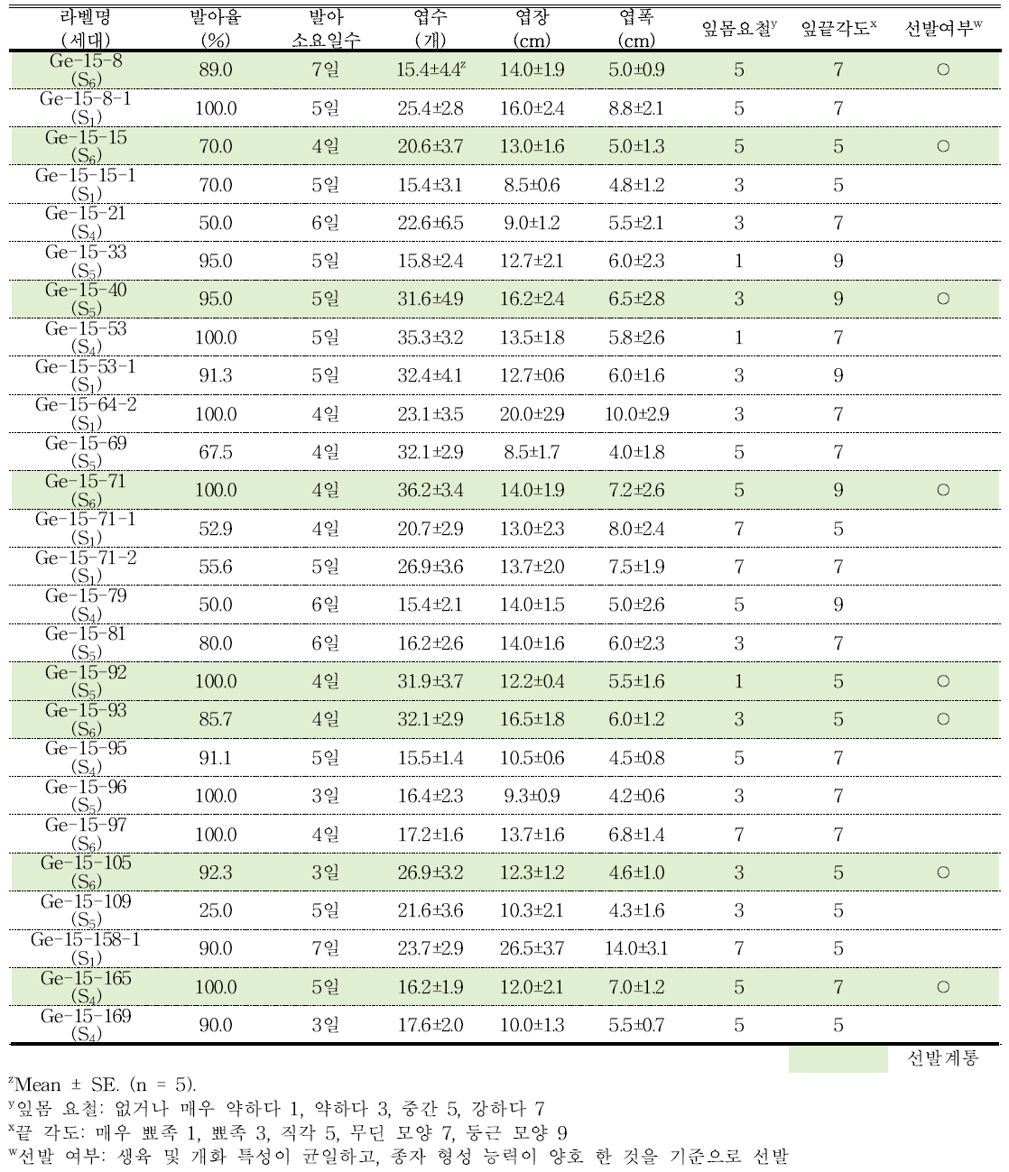 분화용 거베라 흰색 계통의 발아율 및 생육 특성