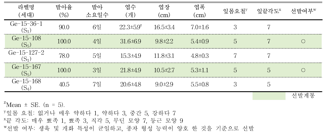 분화용 거베라 복색 계통의 발아율 및 생육 특성