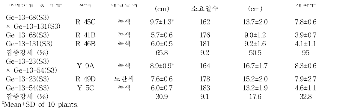 분화용 거베라 고정계통과 교배조합의 개화특성