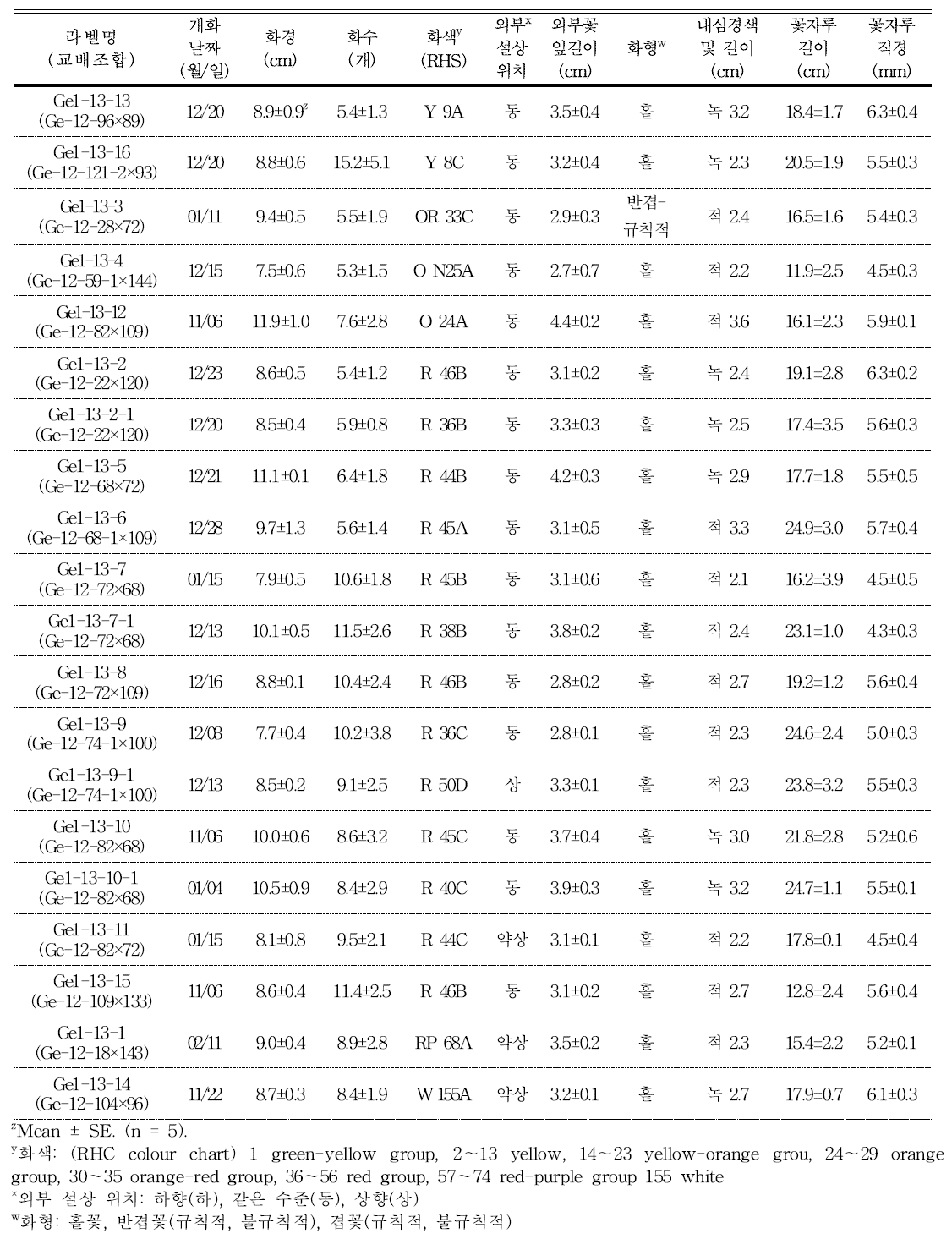 분화용 거베라 교배조합의 개화 및 꽃의 특성