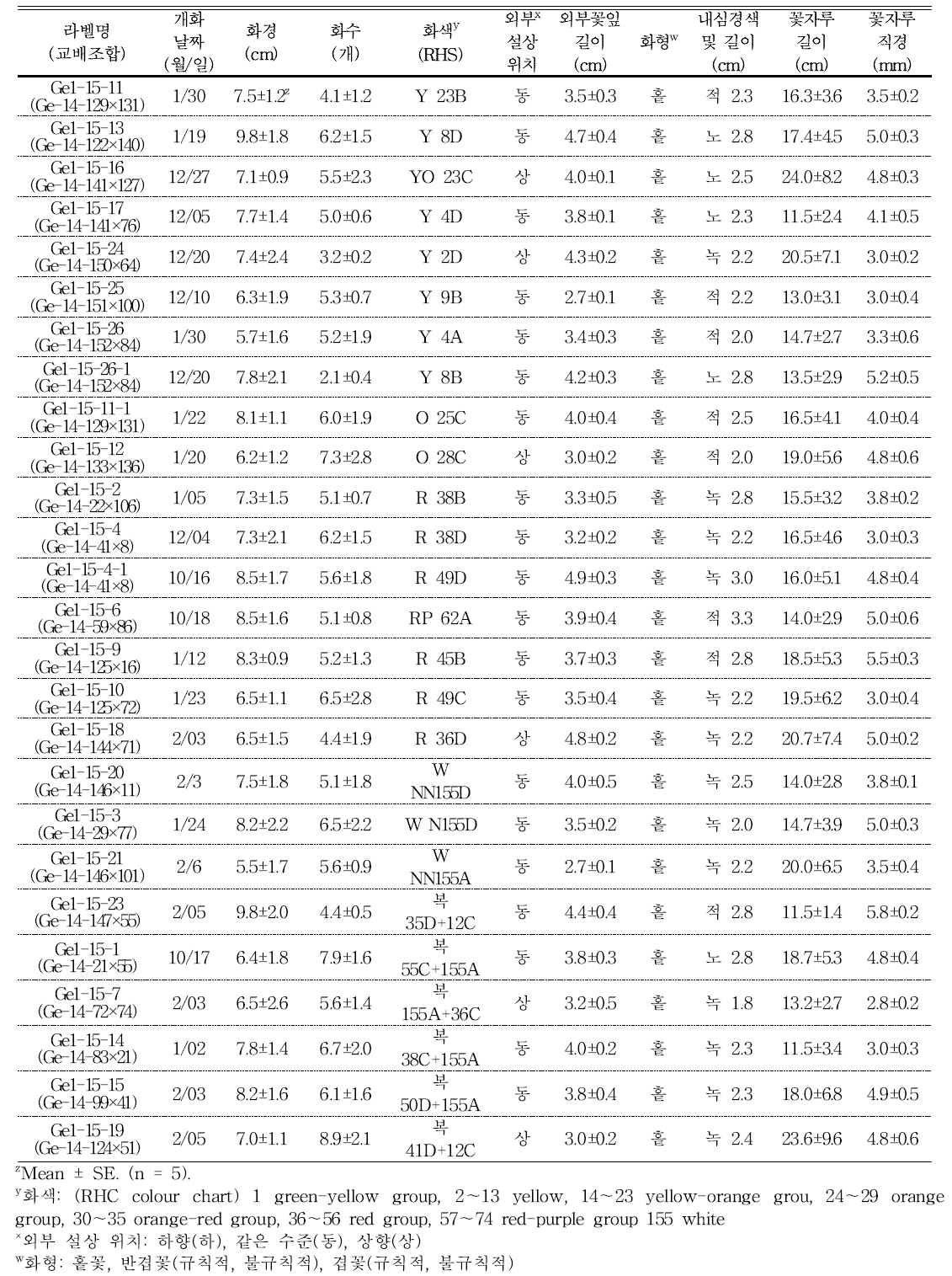 분화용 거베라 교배조합의 개화 및 꽃의 특성