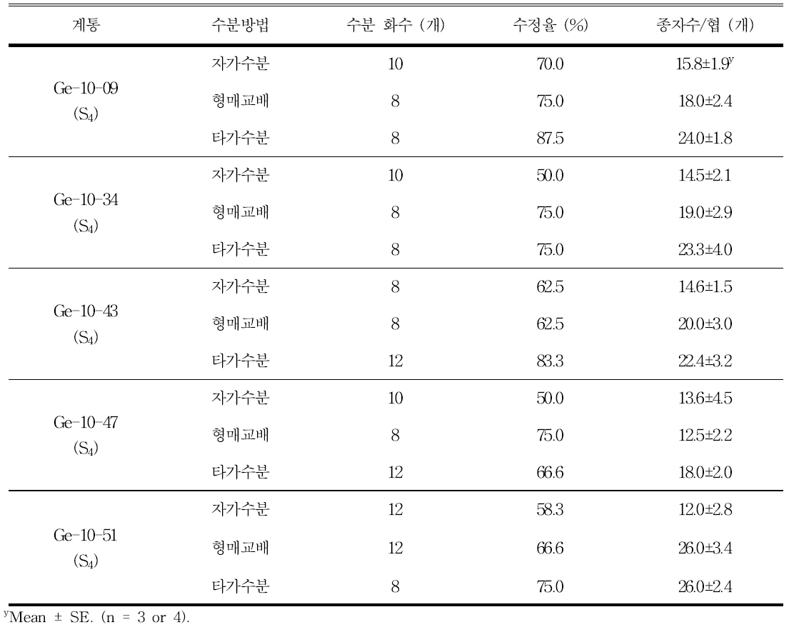 교배방법 별 결실화율 및 채종립