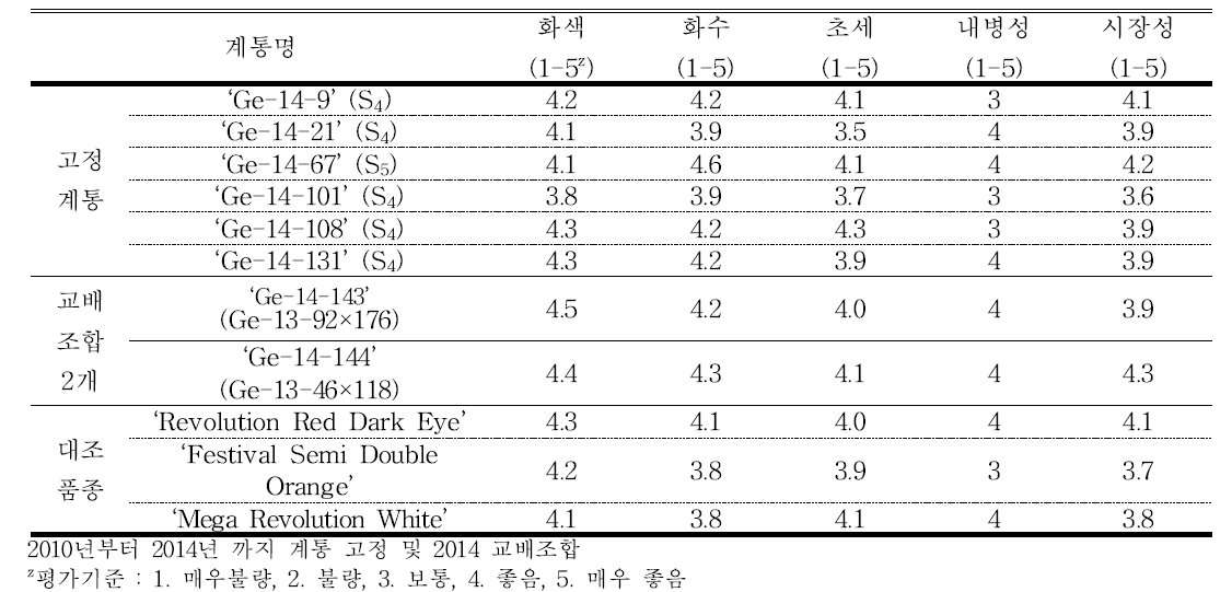 분화용 거베라 선발 계통의 품종 평가