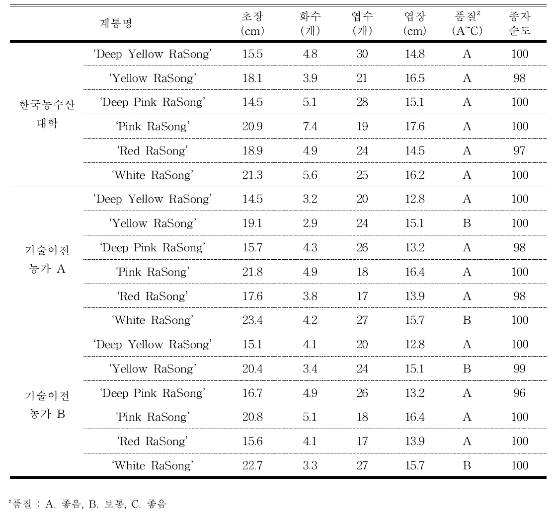 분화용 거베라 농가실증시험 재배 결과