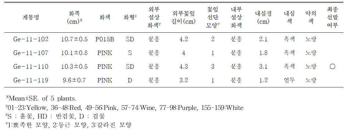 선발된 분홍색 계통의 개화특성 및 선발여부