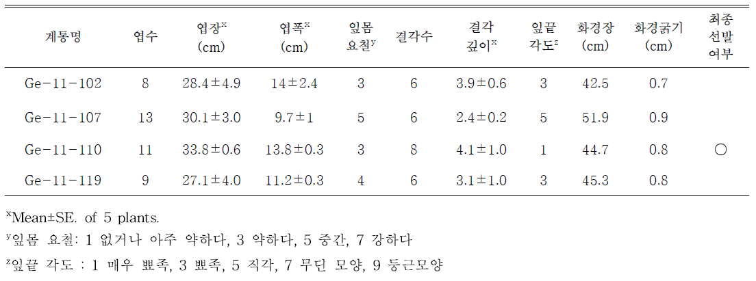 선발된 분홍색 계통의 생육특성 및 선발여부