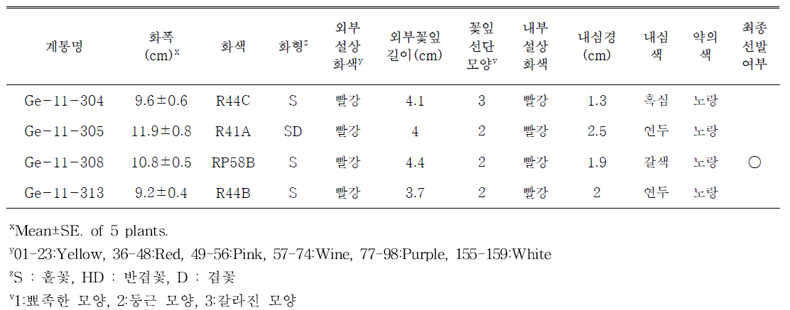 선발된 빨간색계통의 개화특성