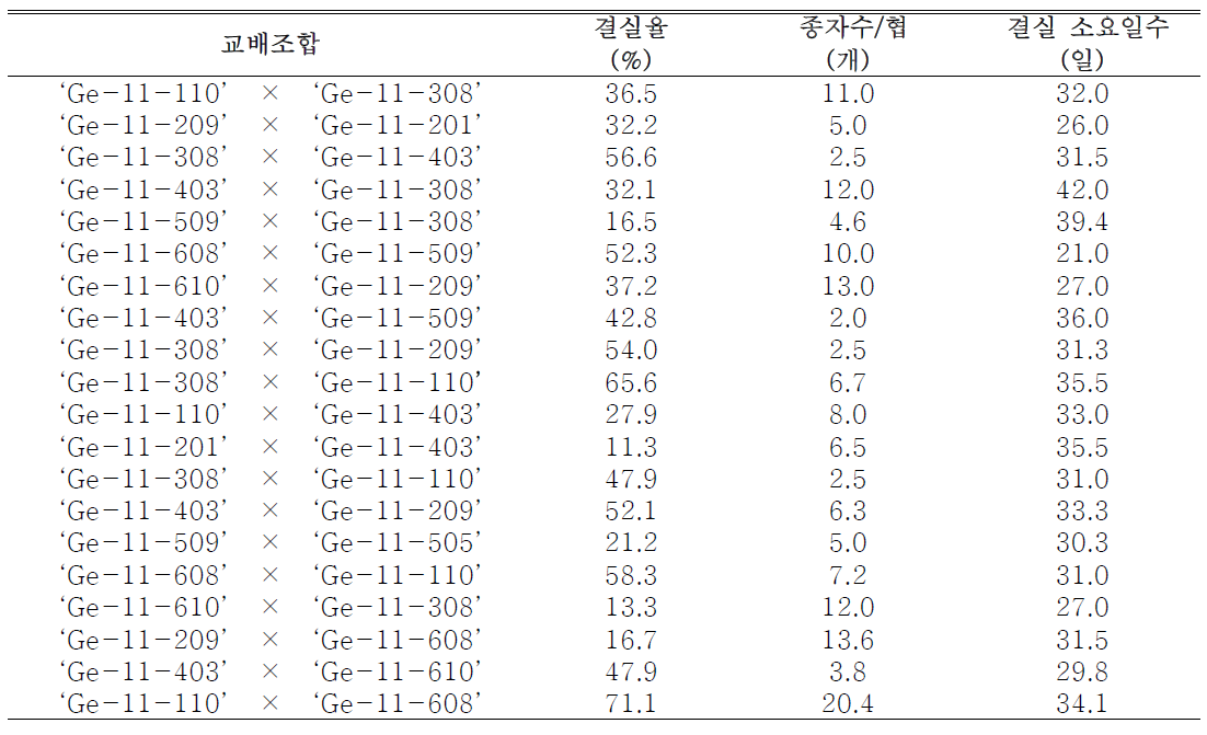 절화용 거베라 교배조합의 종자 형성능력