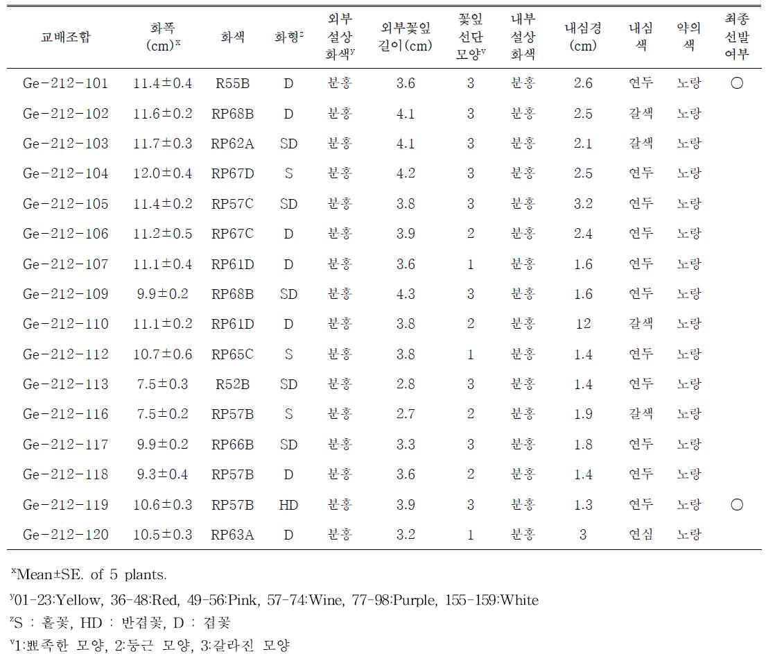 분홍색계열 교배조합의 개화특성 및 선발여부